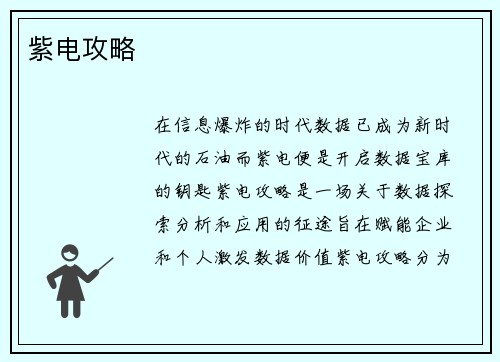 紫电攻略